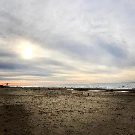 Duinzand-3
