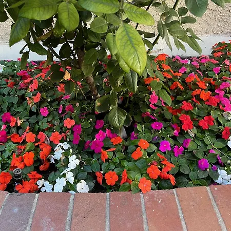 Laguna Inn And Suites-3