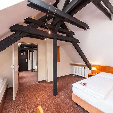 Hotel Ahl Meerkatzen-2