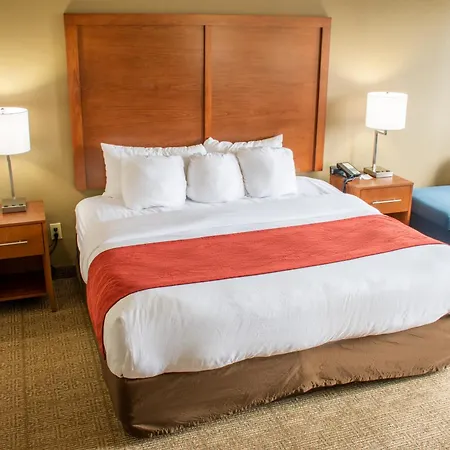 Comfort Inn Dickson-2