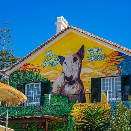 Mr Ziggy'S Surfhouse-3