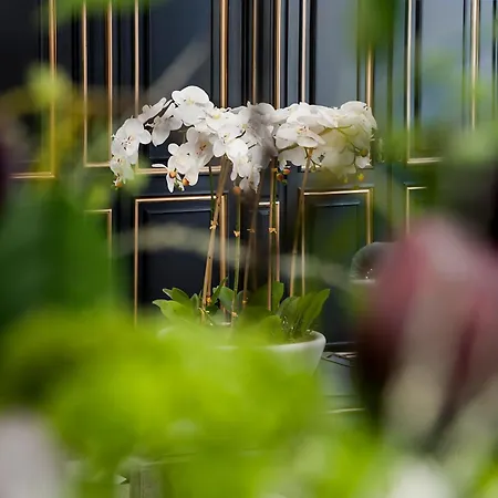 Hotel Boutique Las Almenas-2