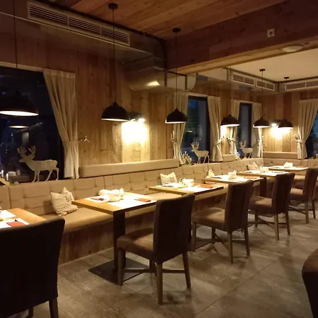 Hotel Alpennest - Mountain Hideaway in Leutasch-3