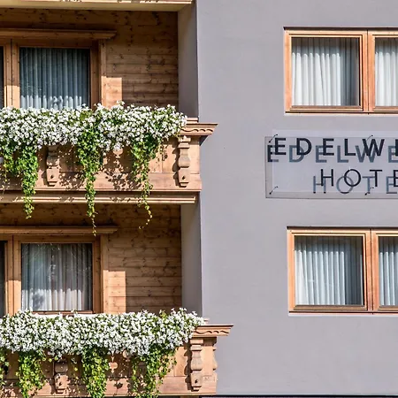 Hotel Edelweiss-2