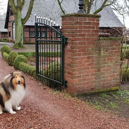 Münsterland Cottage-2