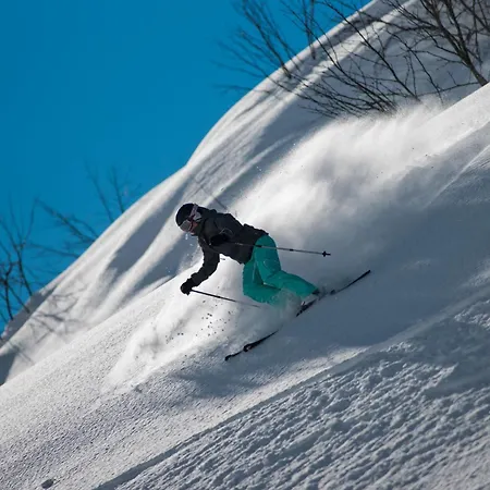 Alpenresort Fluchthorn-2