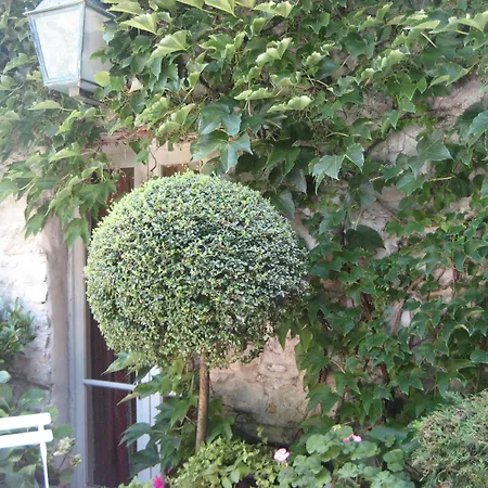 Maison d'Hôtes de l'Evêché-2