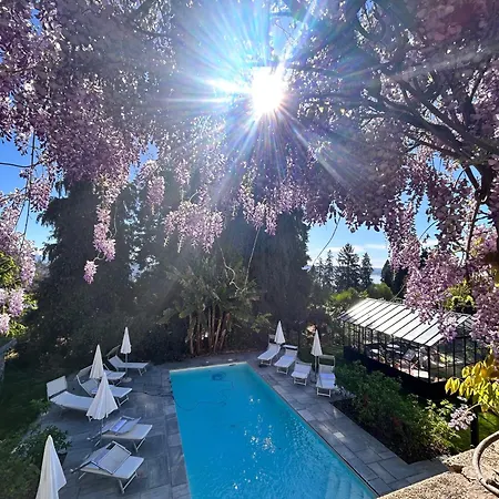 White Lilac Romantic B&B - Adults Only-3