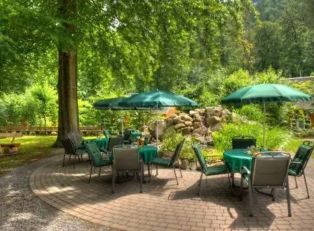 Kurpark Hotel Im Ilsetal-3