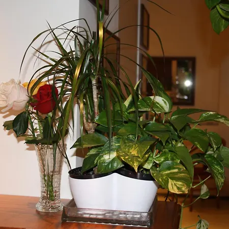 Hotel Sole Mare-2