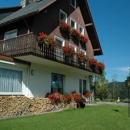 Hotel Diana-2