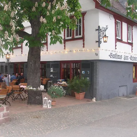 Gasthaus zum Ochsen-2
