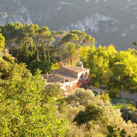 Mirabó de Valldemossa-3