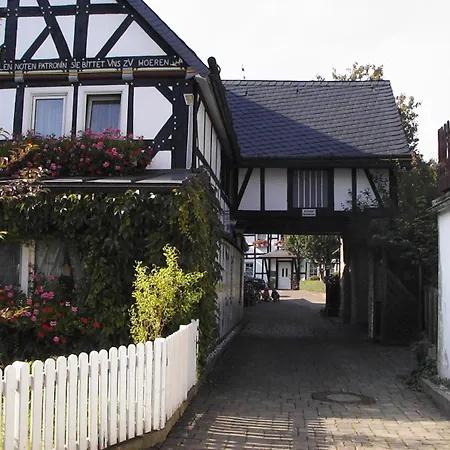 Sonneneck-3