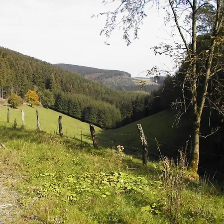 Sonneneck-2
