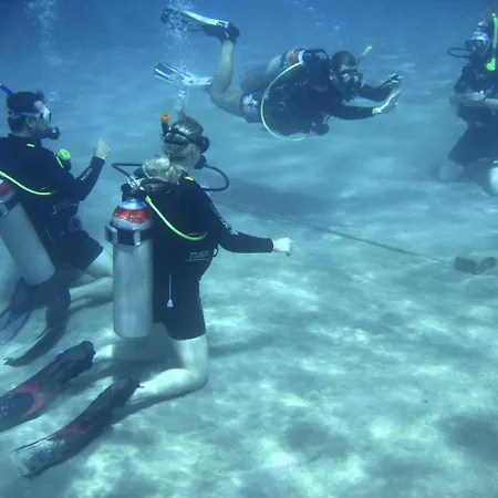 Oonas Dive Club-2