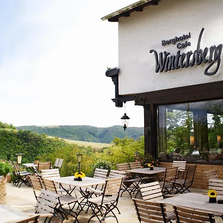 Berghotel Wintersberg-3