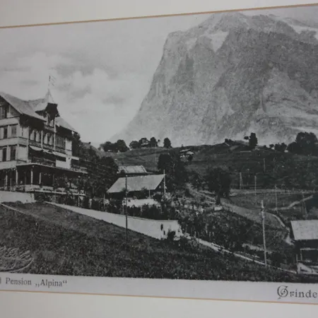 Hotel Restaurant Alpina-3