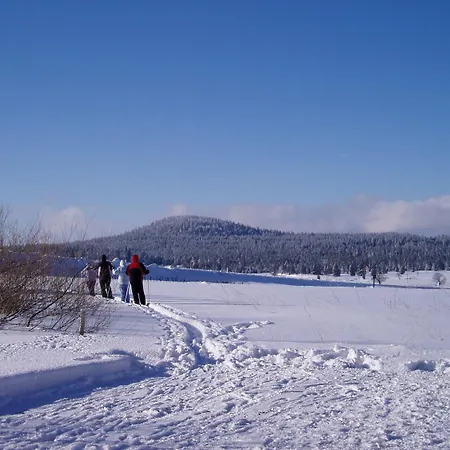 Schneeberg Apartmany-2