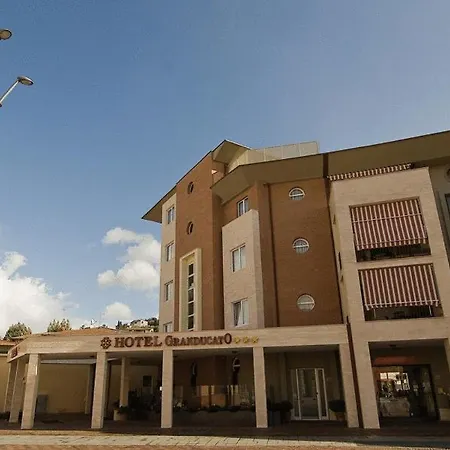 Hotel Granducato-2