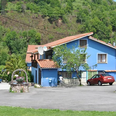 Hotel Avelina-3