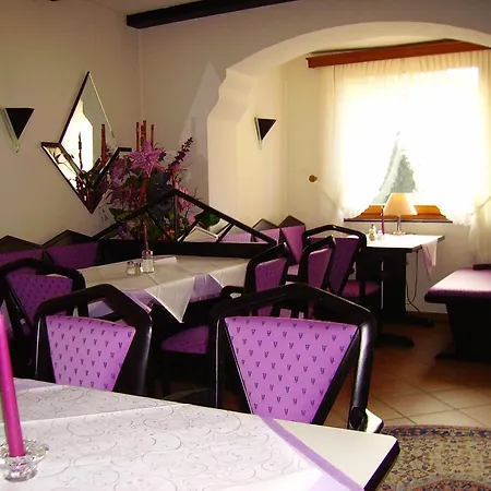 Hotel an der Hauptallee-2