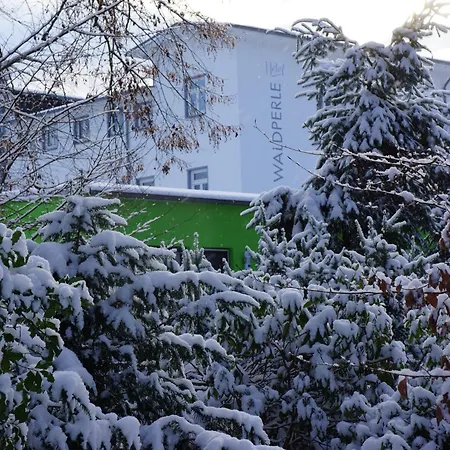 Hotel Waldperle-2