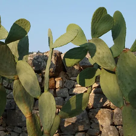 Masseria Trotta B&B-3