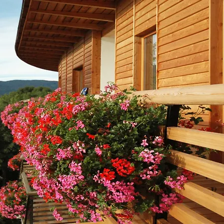 Dolomitenblick Alps Boutique Hotel-2