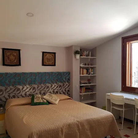 B&B Cactus-3