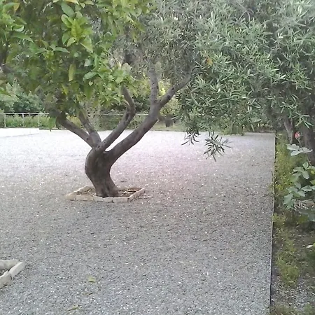 B&B Il Giardino di Zefiro-2