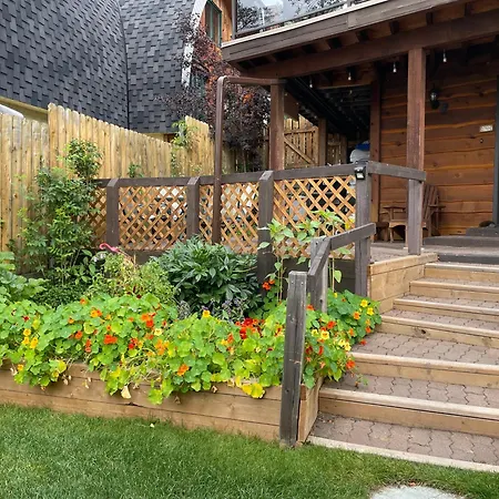 Cedar House-3