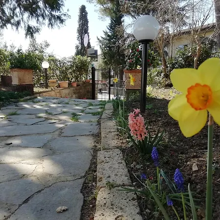B&B Querceto-3