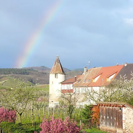 Hotel Munsch Restaurant & Wellness, Colmar Nord - Haut-Koenigsbourg-3