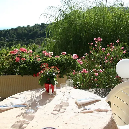 Les Geraniums-2
