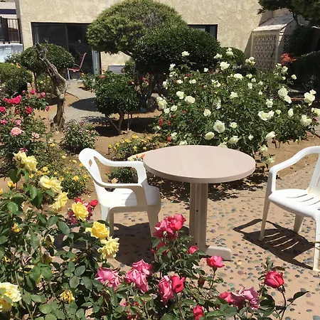 Americas Best Value Inn And Suites -Yucca Valley-3