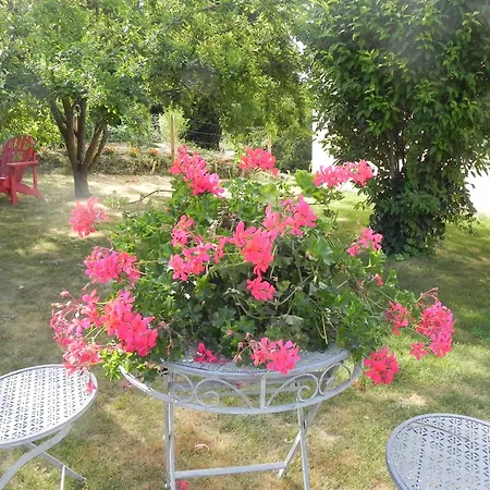 Les Patis-3