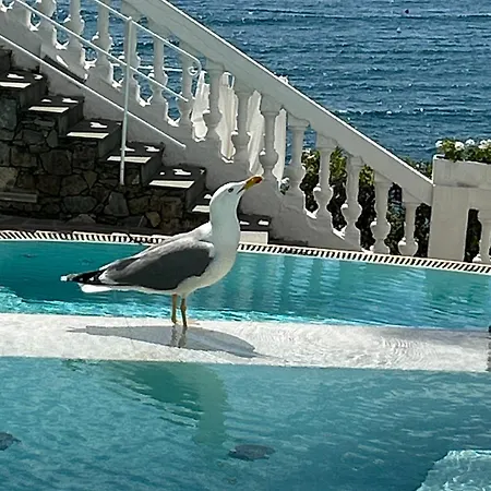 Hotel Helvetia-3