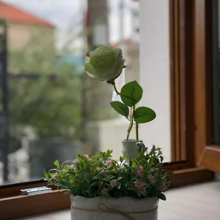 Villa For You-2
