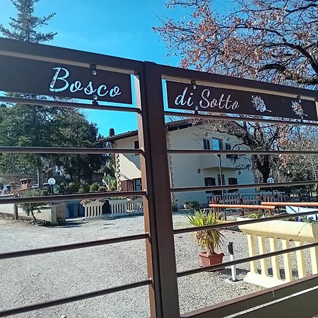 Boscodisotto-3