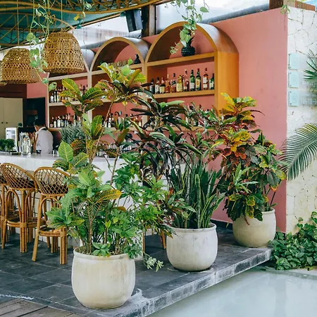 Mi Amor By La Zebra, An Slh Hotel (Adults Only)-2