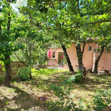 Studios et Gite La Sauvasse-3