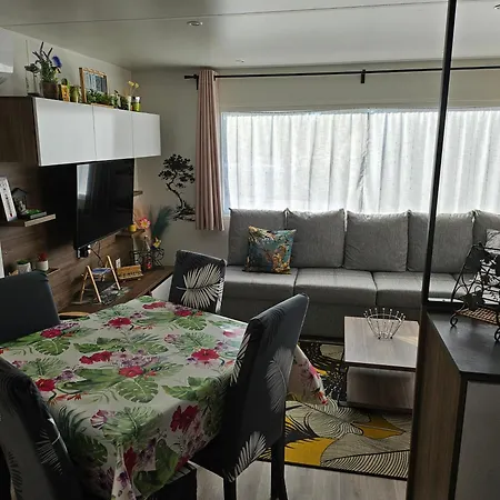 Mobil Home Les Flamants Roses Cathy&Robert-2
