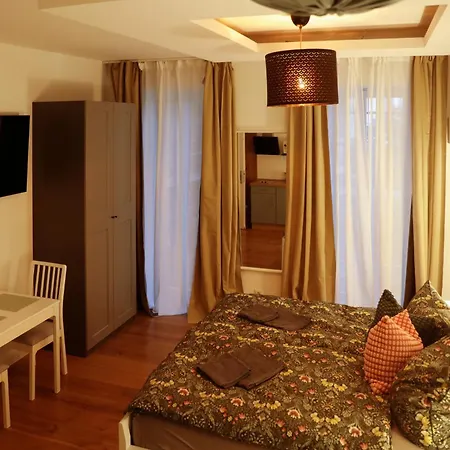 Boutique Hotel Pension Luisengrün Küche 1Gbs WLAN Netflix Disney MagentaTV-2