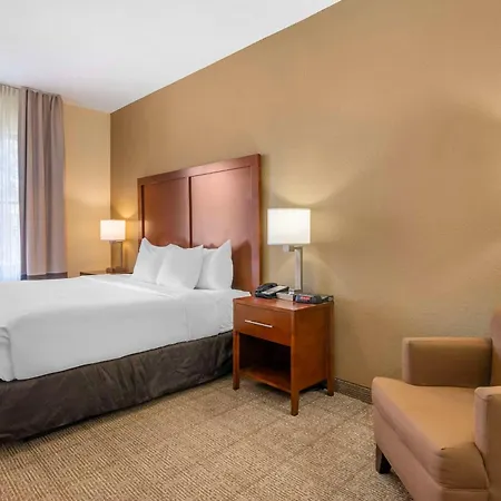 Comfort Inn & Suites Northeast - Gateway-2