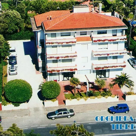 Orchidea Marina-3