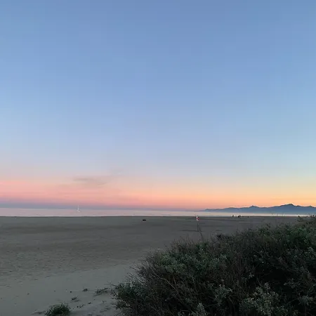 Le Regina Hôtel et restaurant Canet-plage-2