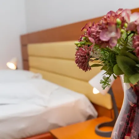 Hotel Sir Colentina-2
