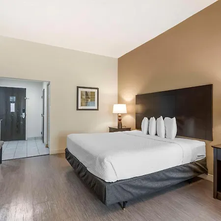 Best Western Suites Columbus-3