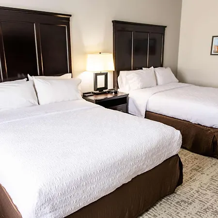 Hampton Inn & Suites Effingham-3